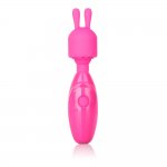 Tiny Teasers Rechargeable Bunny Vibrator